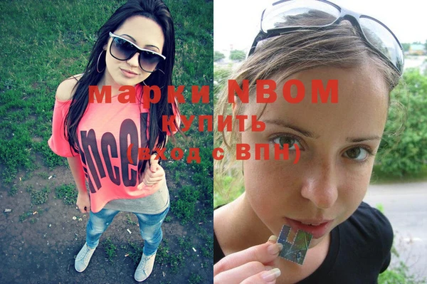 Альфа ПВП Бородино