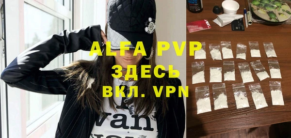 Альфа ПВП Бородино